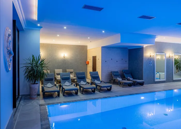 Hotel Paryski Art&Business Zakopane - Basen Jacuzzi Sauna Małpi Gaj